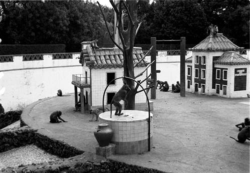 Jardim Zoológico de Lisboa, aldeia dos macacos