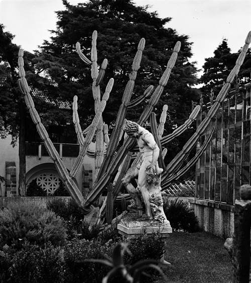 Jardim-Museu Agrícola Tropical, estátua decorativa