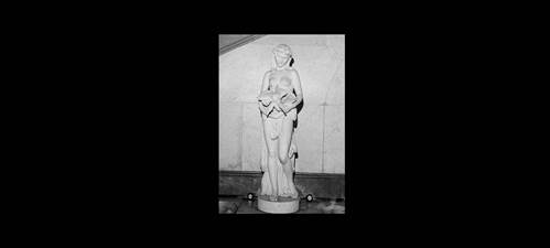 Estátua alegórica, Vénus do pato